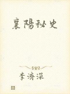 襄阳秘史