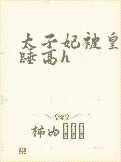 太子妃被皇上强睡高h