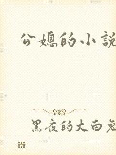 公媳的小说
