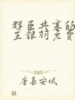 群臣共享的小公主银羽免费阅读