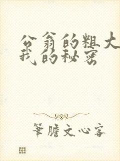 公翁的粗大放进我的秘密