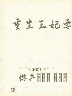 重生王妃要和离