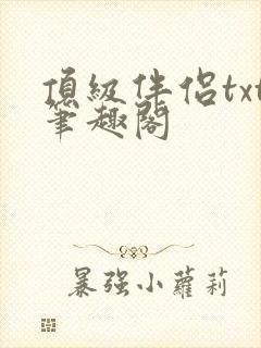 顶级伴侣txt笔趣阁