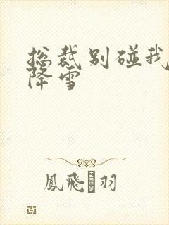 总裁别碰我 韩降雪