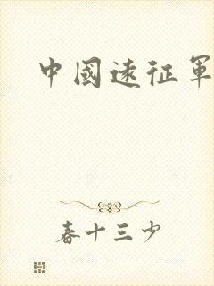 中国远征军小说