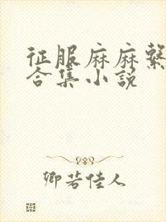 征服麻麻系列大合集小说