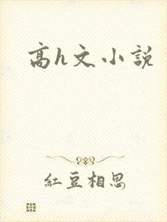 高h文小说