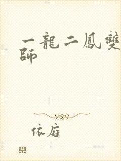 一龙二凤双飞老师