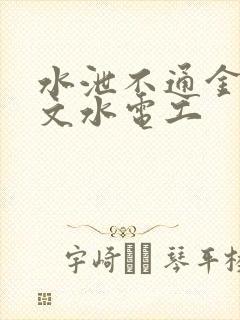 水泄不通金银原文水电工