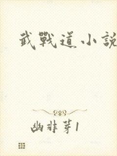 武战道小说