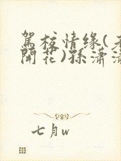 驾校情缘(老树开花)孙潇潇第一次趣笔阁