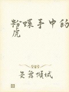 粉蝶手中的纸老虎