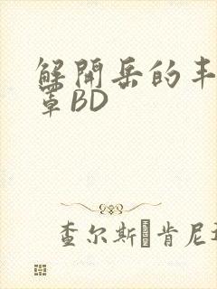 解开岳的丰满奶罩BD