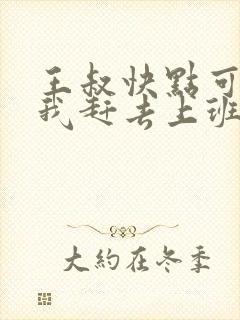 王叔快点可以吗我赶去上班