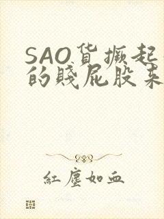 SAO货撅起你的贱屁股来