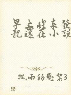 早上醒来发现巨龙还在小说