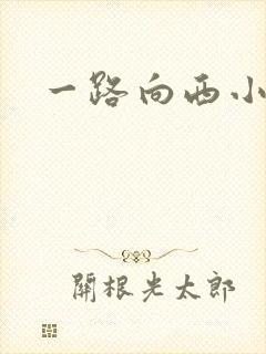 一路向西小说