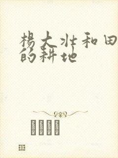 杨大壮和田桂花的耕地