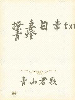 撩妻日常txt青灯