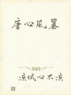 唐心风暴