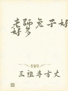 老师兔子好软水好多