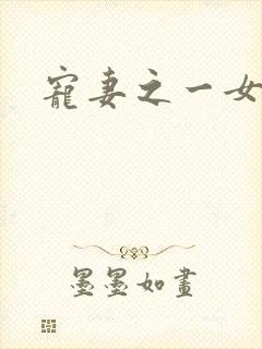 宠妻之一女二夫