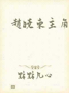 赵晓东主角小说