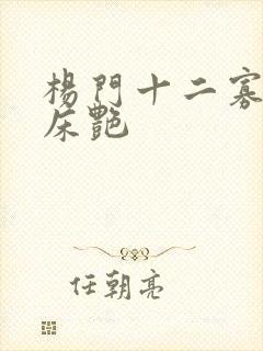 杨门十二寡妇肉床艳
