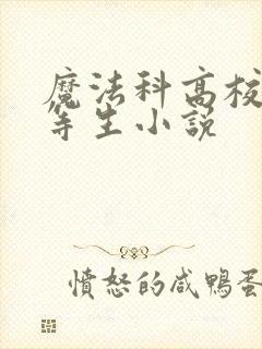 魔法科高校的劣等生小说