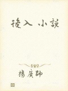 后入 小说
