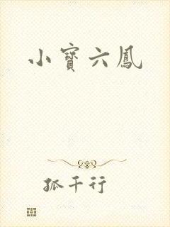 小宝六凤