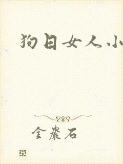 狗日女人小说