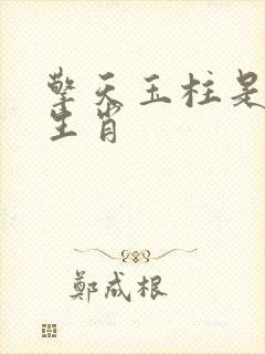 擎天玉柱是什么生肖