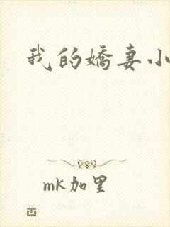 我的娇妻小说