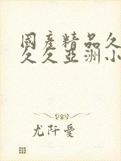 国产精品久久久久久亚洲小说