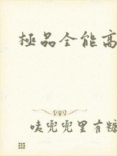 极品全能高手