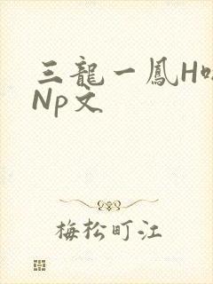 三龙一凤H啪肉Np文