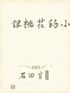 银桃花的小说