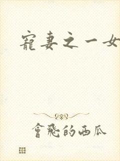 宠妻之一女二夫