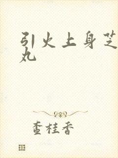 引火上身芝麻糖丸