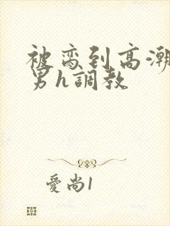 被脔到高潮的直男h调教