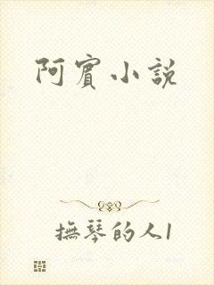 阿宾小说