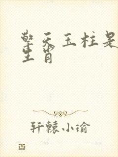 擎天玉柱是什么生肖