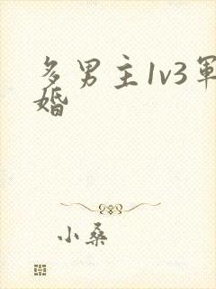 多男主1v3军婚