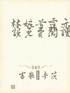 林婉兮霍亦铭小说免费阅读