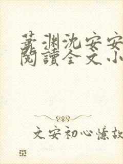 萧渊沈安安免费阅读全文小说