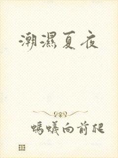 潮湿夏夜