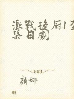 激战后厨1至5集日剧