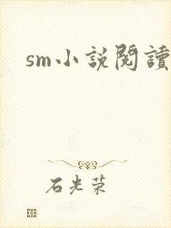 sm小说阅读