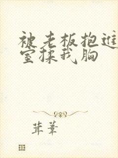 被老板抱进办公室揉我胸